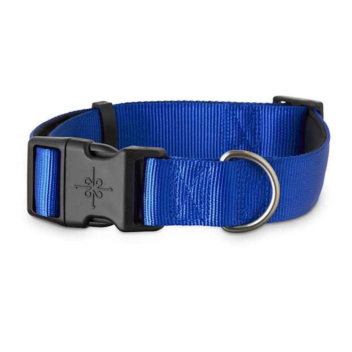 YOULY Neoprene Padded Dog Collar - Healthber