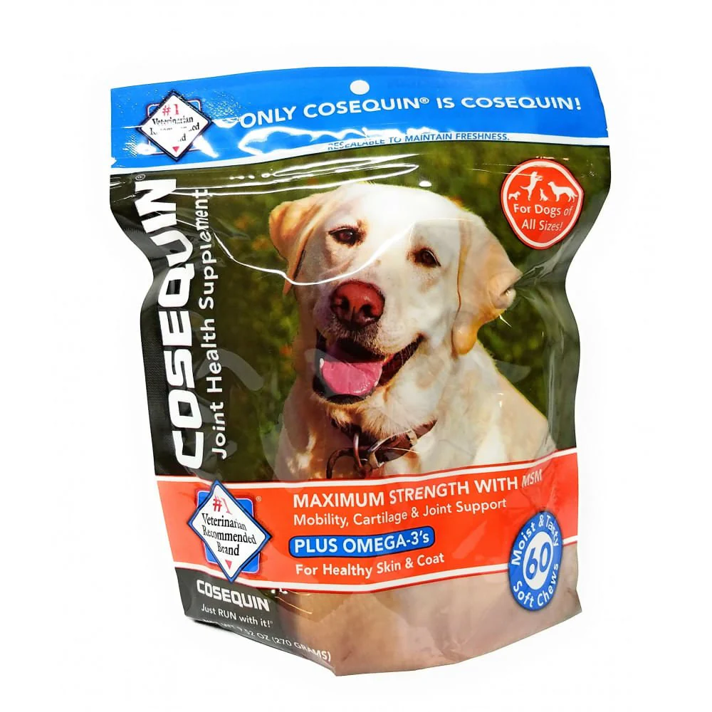 Nutramax Cosequin DS Plus MSM for Dogs, 60 Soft Chews - Healthber