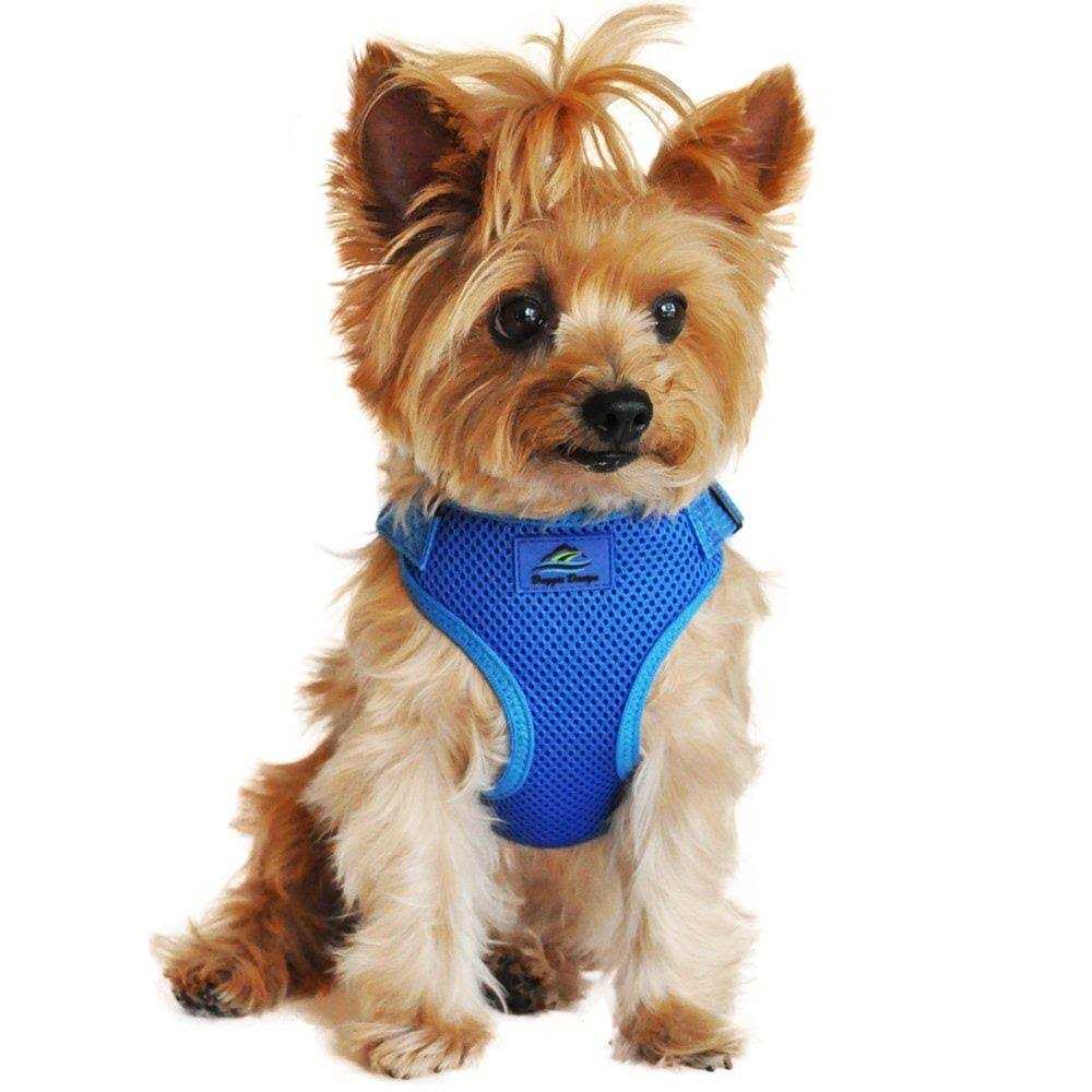 Doggie Design Wrap and Snap Choke Free Dog Harness - Healthber