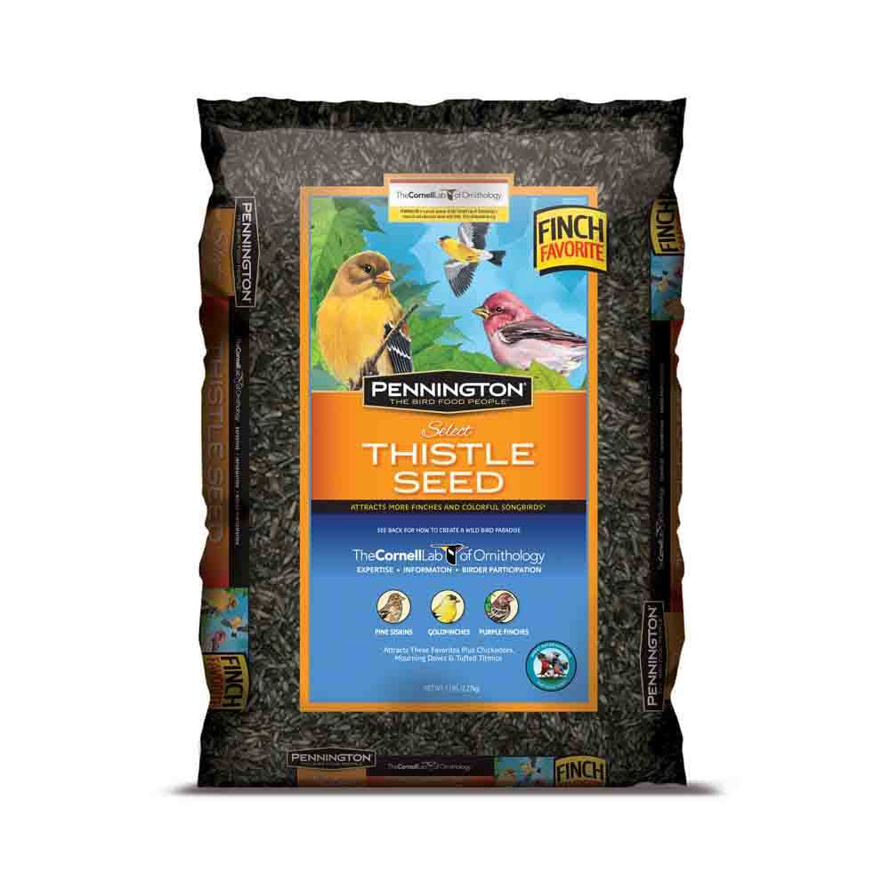 Pennington Select Thistle Seed - Healthber