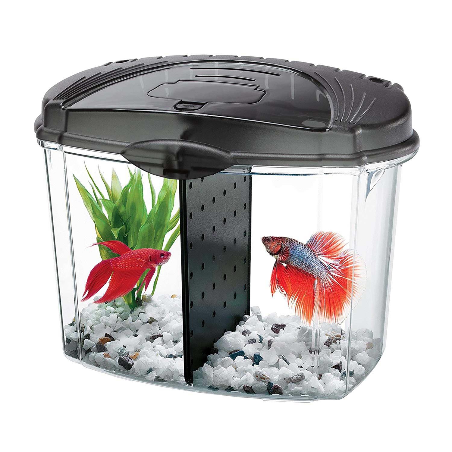 Aqueon Betta Bowl Kit - Healthber