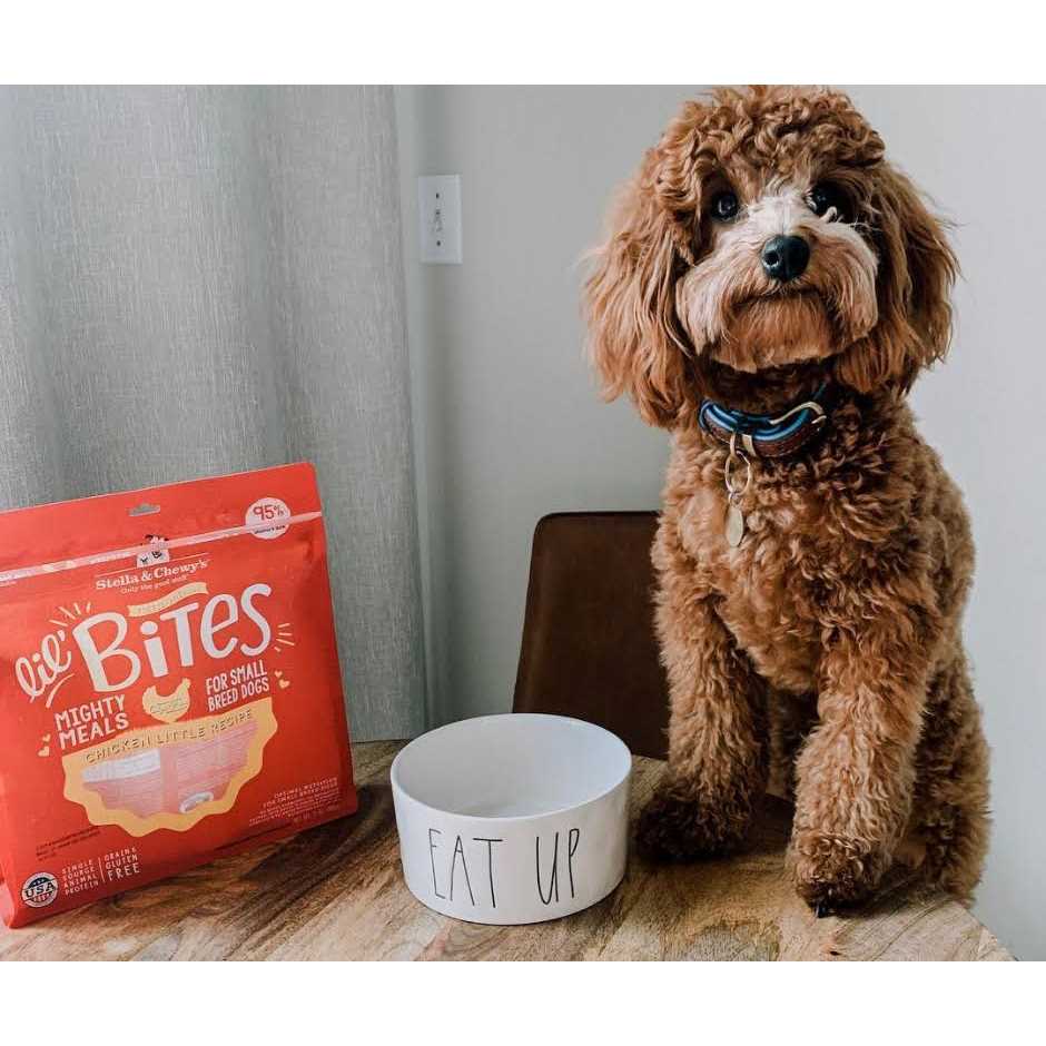 Stella & Chewy’s Lil’ Bites Chicken Little Freeze Dried Dog Food - Healthber