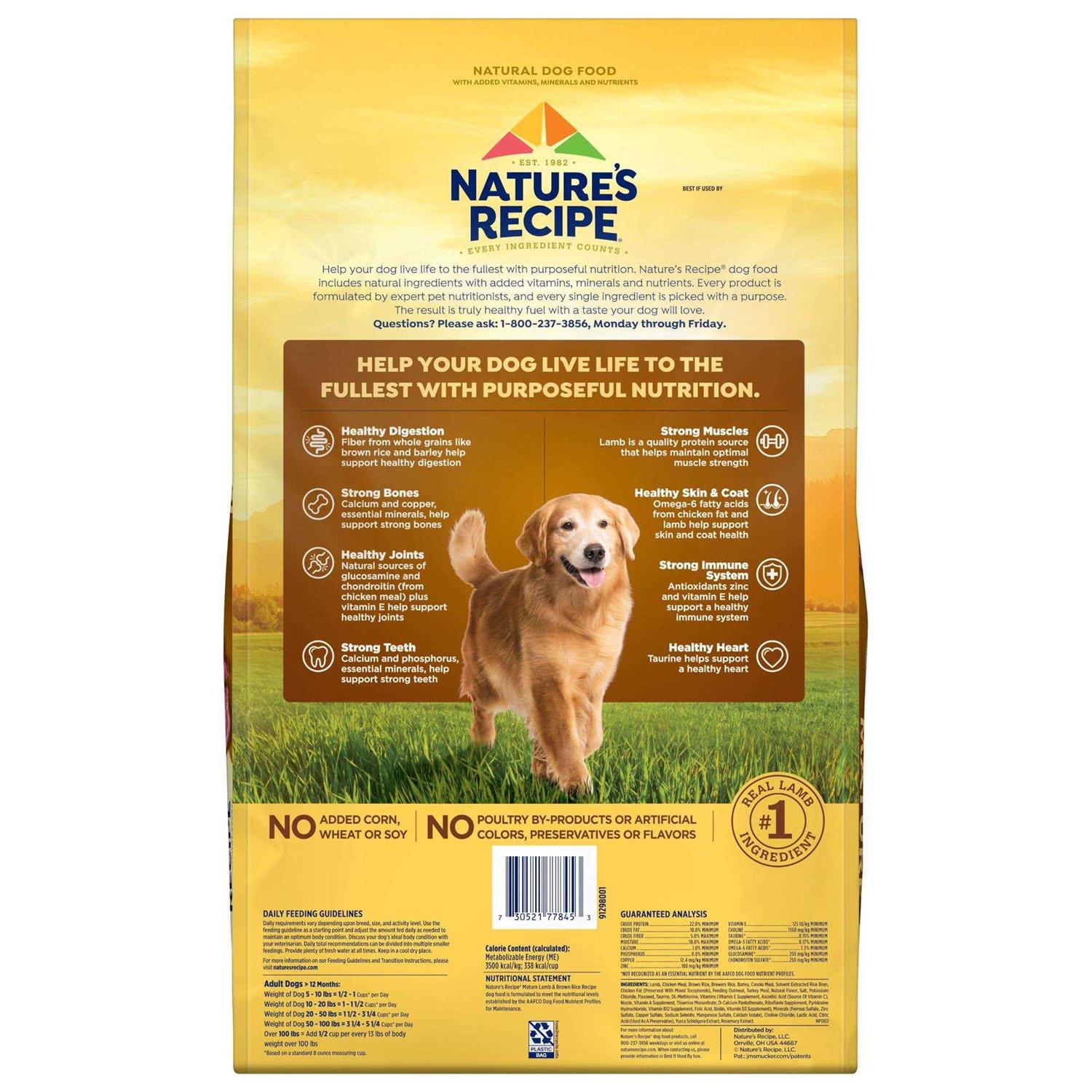 Nature’s Recipe Mature Dry Dog Food - Healthber