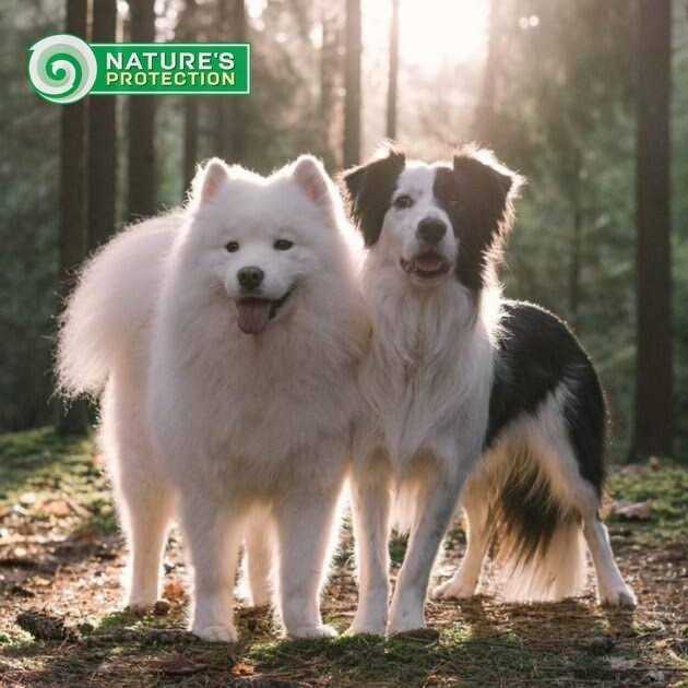 Nature’s Protection Grain Free Superior Care White Dogs Small Breed Adult Dry Dog Food - Healthber