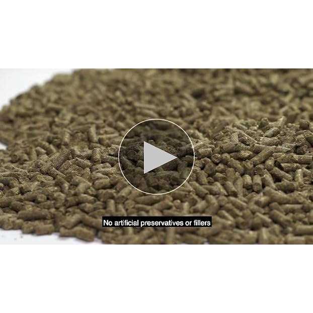 Kaytee Timothy Complete Rabbit Food - Healthber