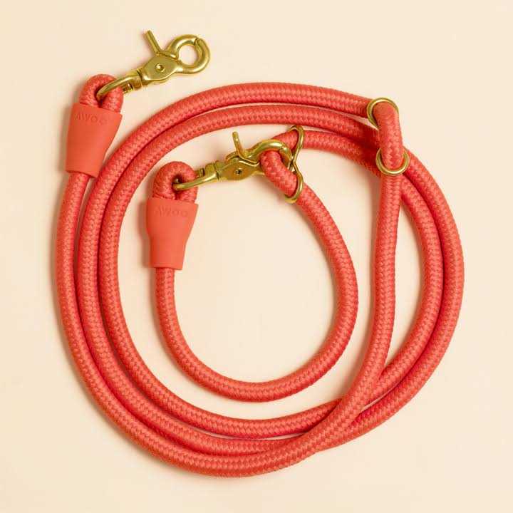 Awoo Infinity Leash - Healthber