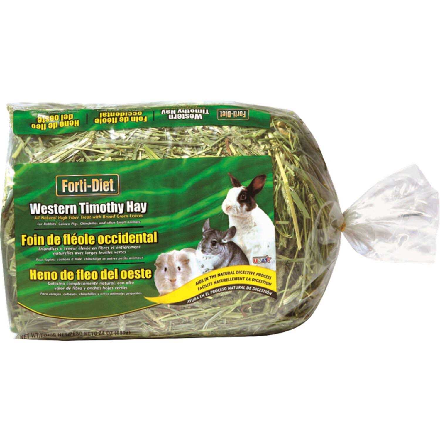 Kaytee Forti-Diet All Natural Timothy Hay - Healthber