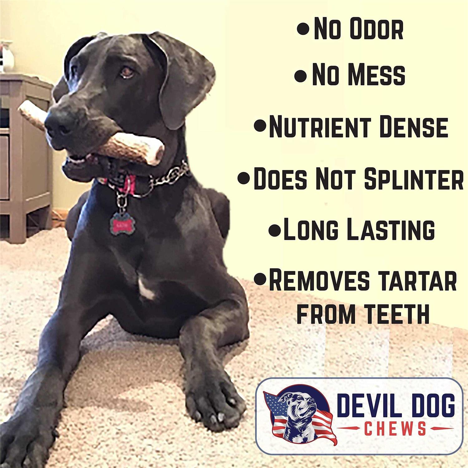 Devil Dog Pet Co Antler Dog Chew Premium Elk Antlers for Dogs Long Lasting Dog Bones for Aggressive Chewers - Healthber