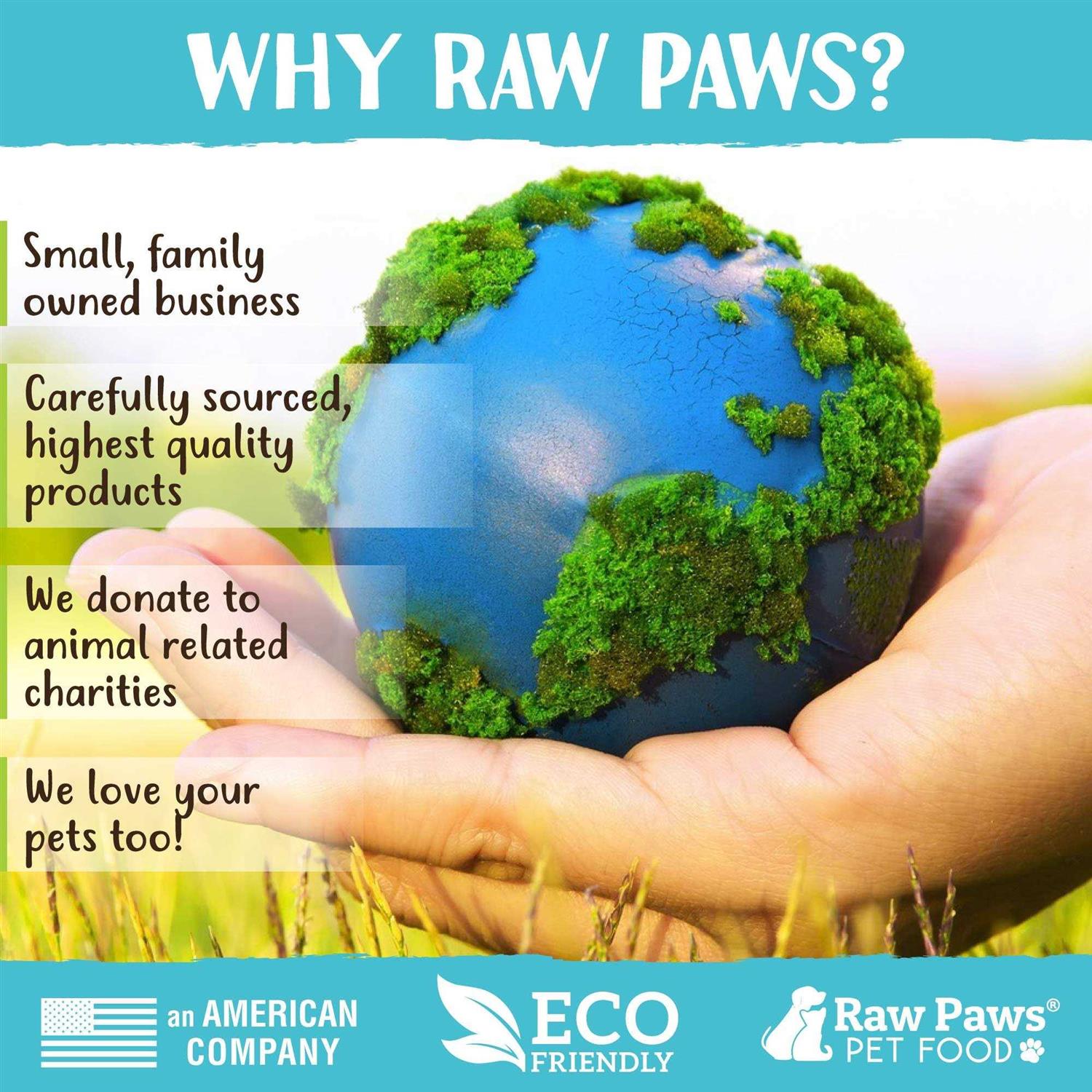 Raw Paws Silvervine for Cats Silvervine Cat toys for Indoor Cats - Healthber