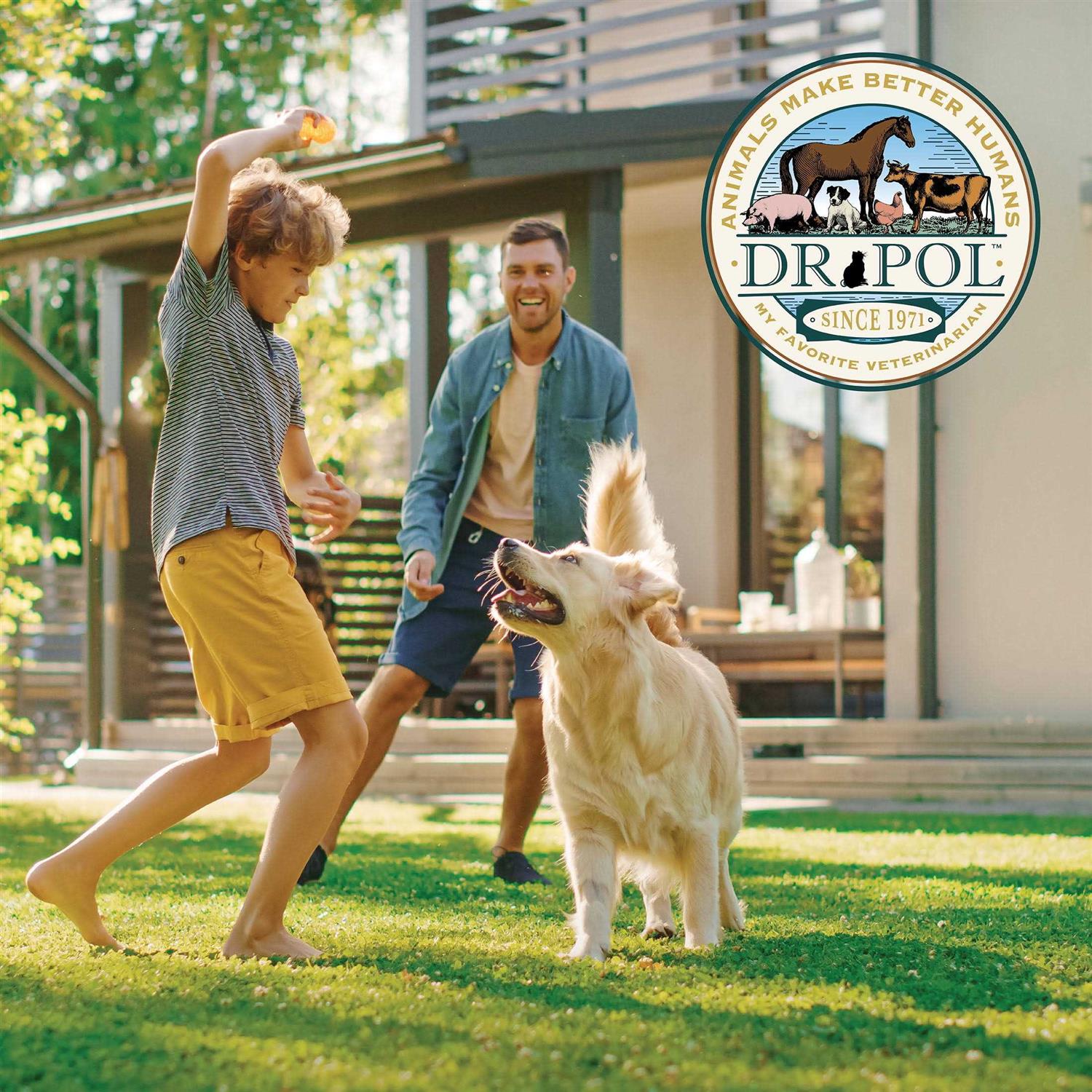 Dr. Pol Healthy Balance Chicken Recipe Dry Dog Food - Healthber