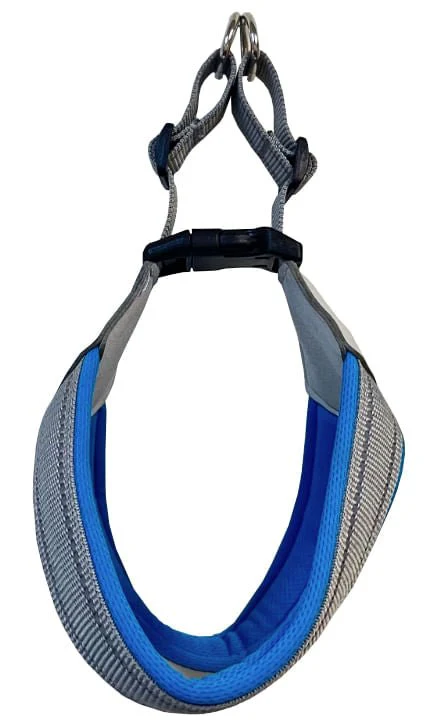 Doggy Tales Step In V Harness, Blue - Healthber