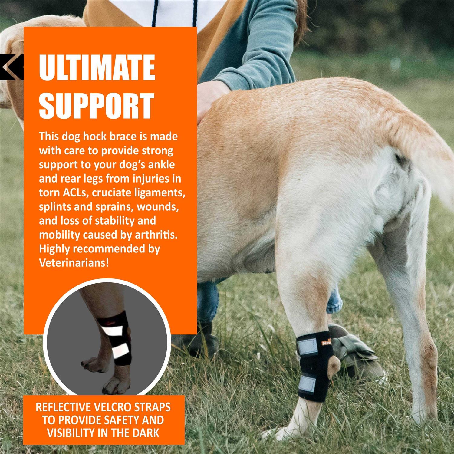 NeoAlly Dog Rear Leg Brace Canine Hock Ankle Support with Safety Reflective Straps for Hind Leg Wounds Heal and and - Healthber