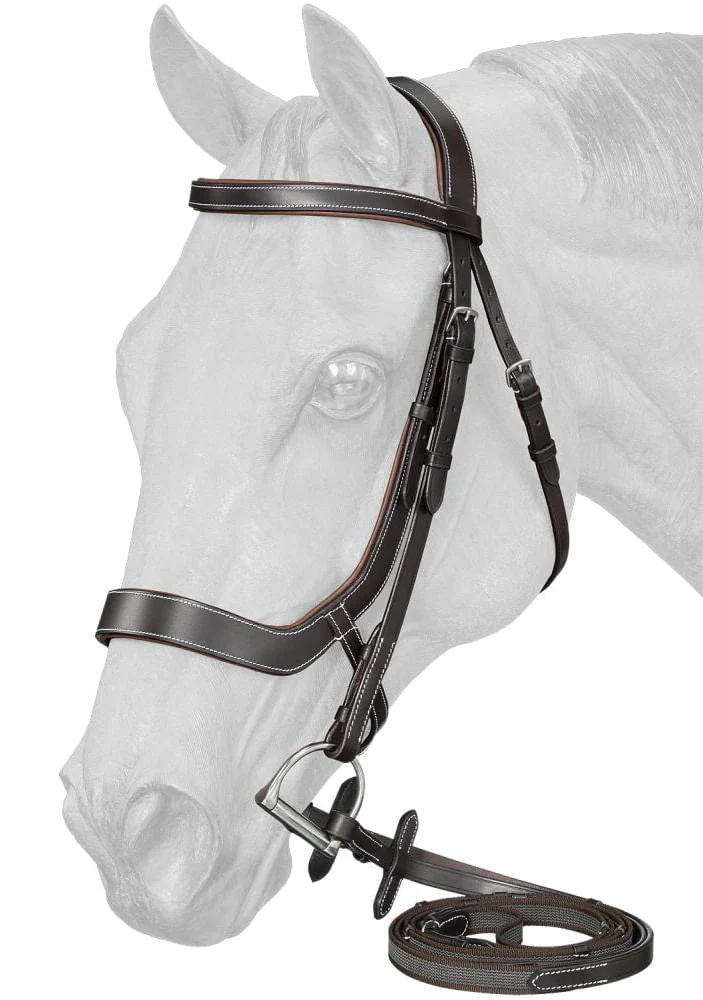 Equitare Cadence Ergonomic Bridle - Healthber
