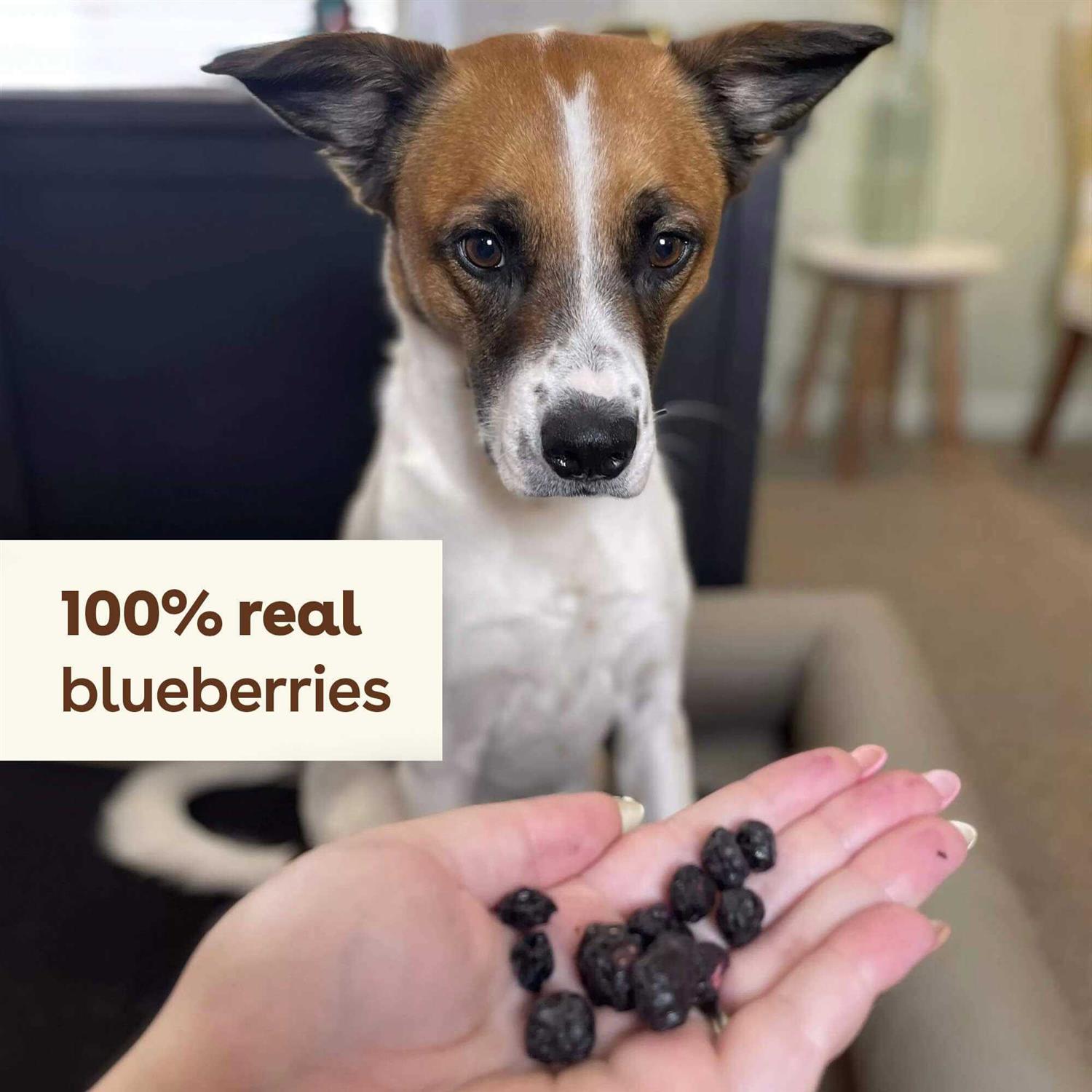 Pupford Freeze Dried Dog Training Treats 425+ Puppy & Dog Treats - Healthber