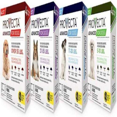 Provecta 4 Doses Advanced for Dogs - Healthber