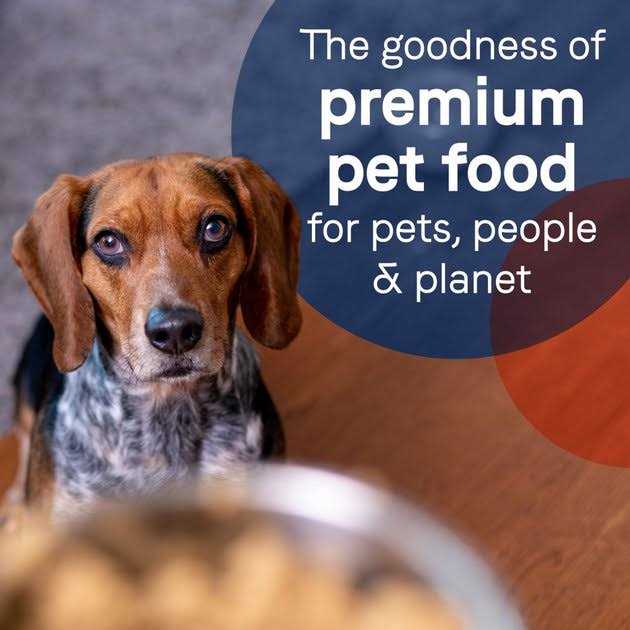 Canidae Grain-Free Pure Limited Ingredient Salmon & Sweet Potato Recipe Canned Dog Food - Healthber