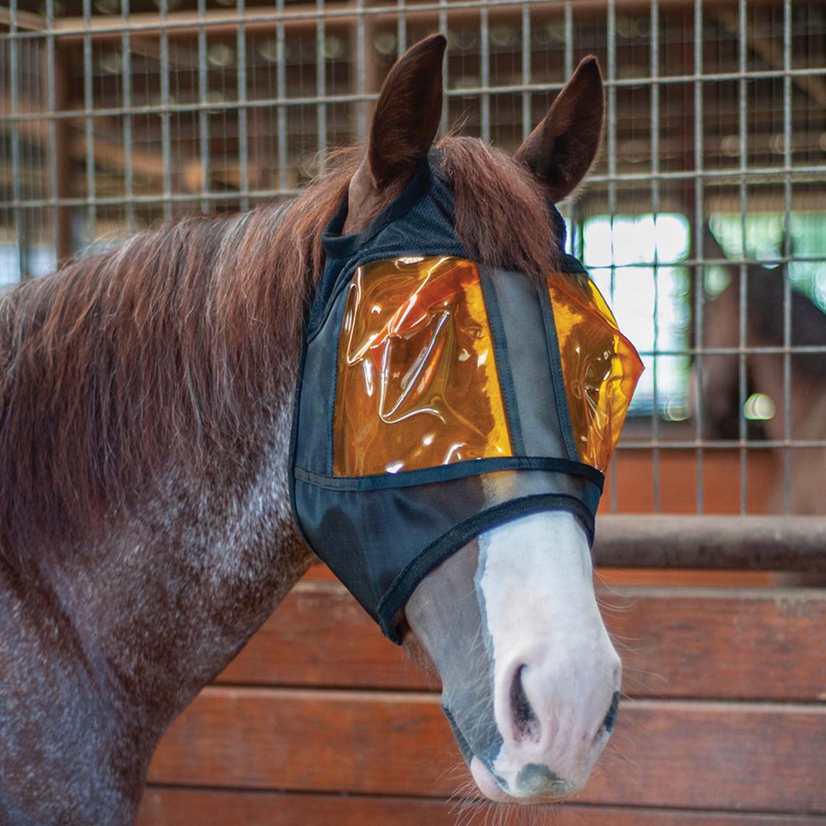 Classic Equine Restoration Equine Mask - Healthber