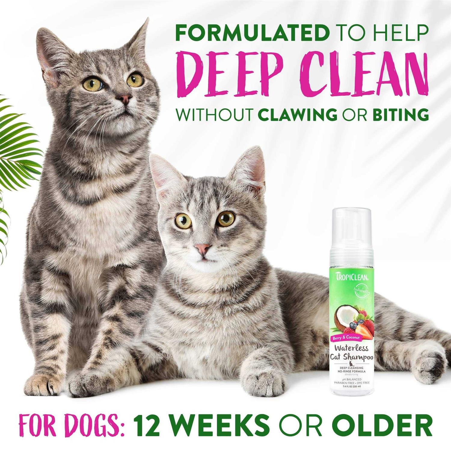 Tropiclean Waterless Deep Cleaning Cat Shampoo - Healthber