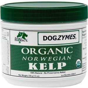 Dogzymes Organic Norwegian Kelp for Pets - Healthber
