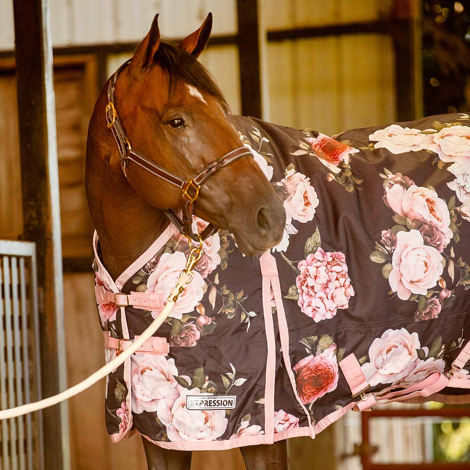 Expression 1200 Denier Standard Neck Turnout Blanket, 240 Gram, Rose Garden - Healthber