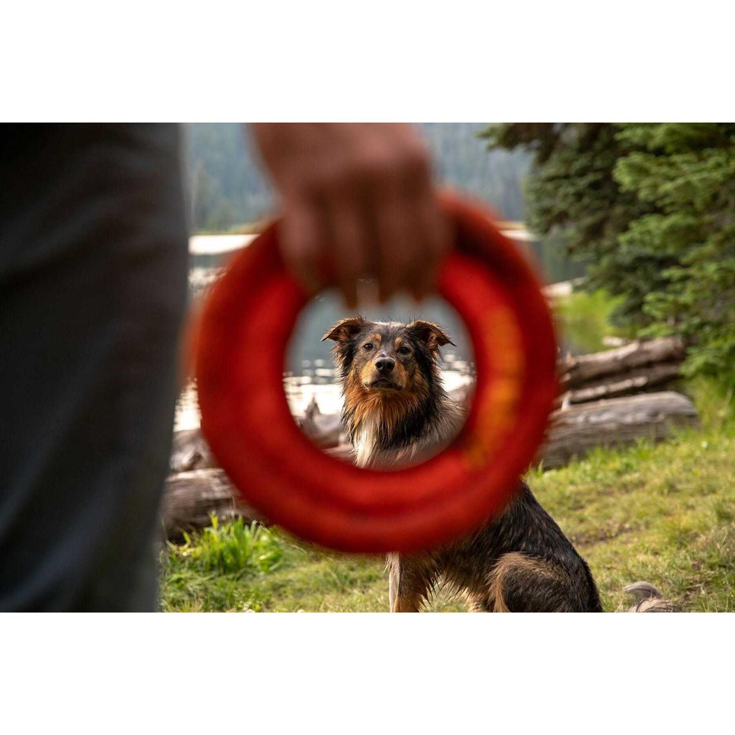 Ruffwear Hydro Plane Toy - Healthber