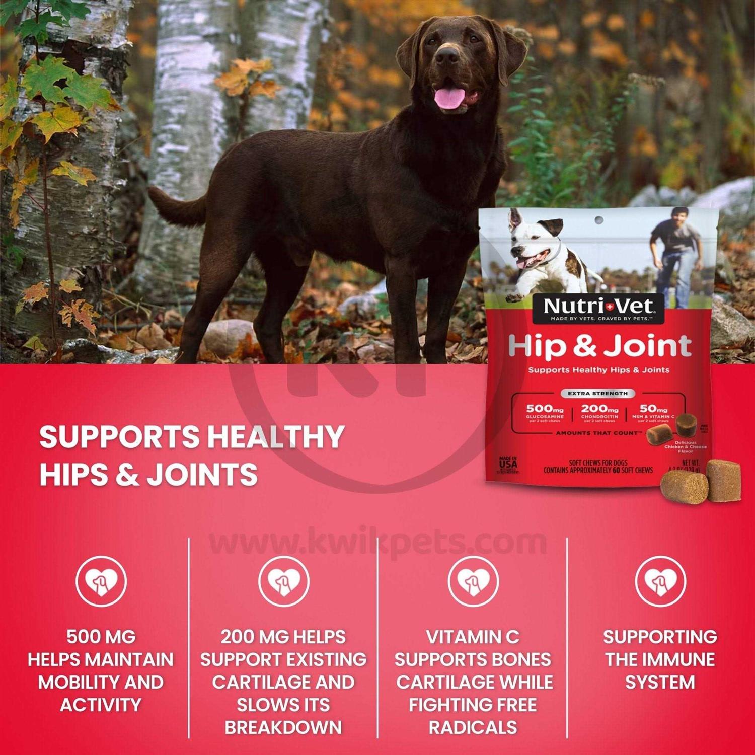 Nutri-Vet Hip & Joint Extra Strength Soft Chews For Dogs - Healthber
