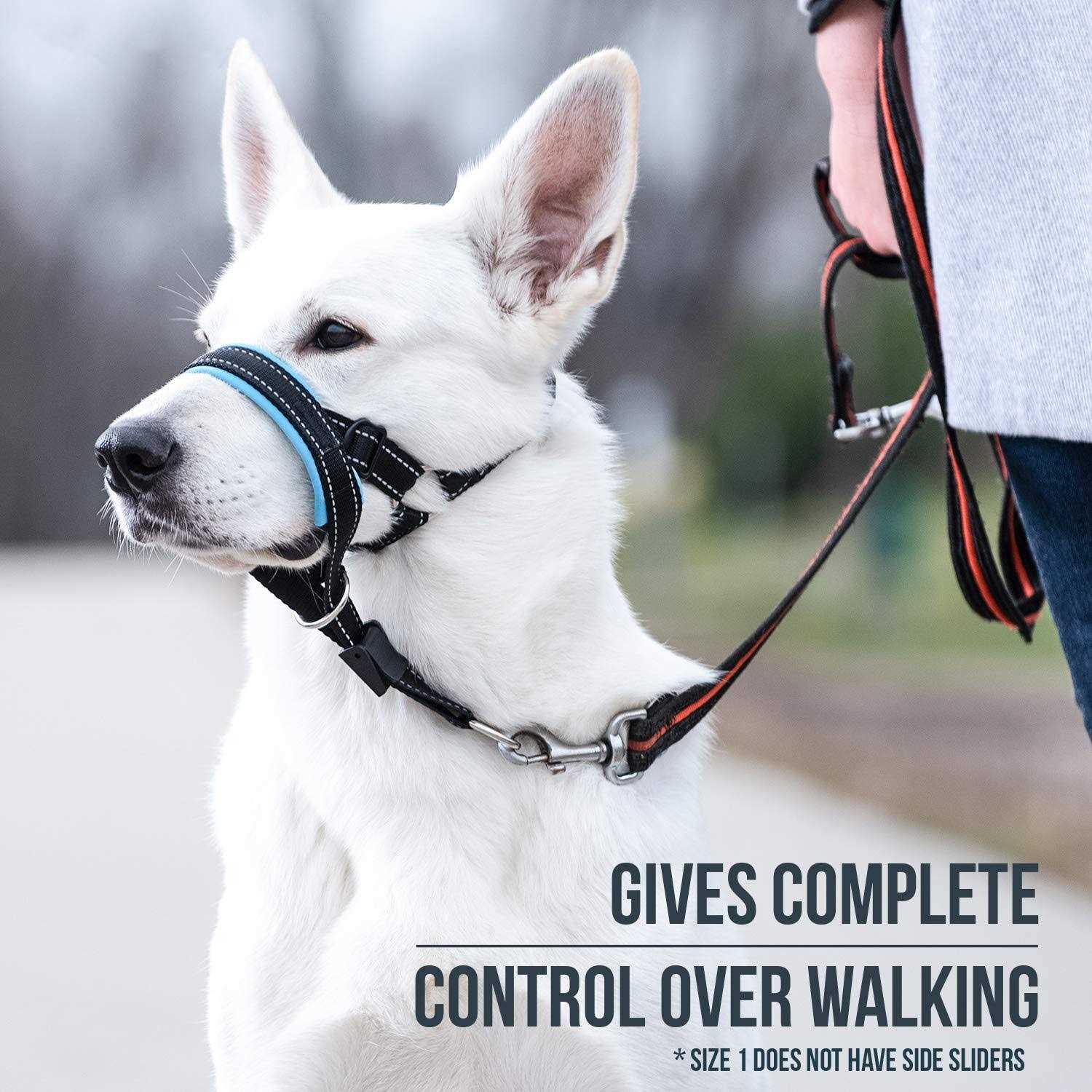 GoodBoy Dog Head Halter with Safety Strap Stops Heavy Pulling On The Leash - Healthber