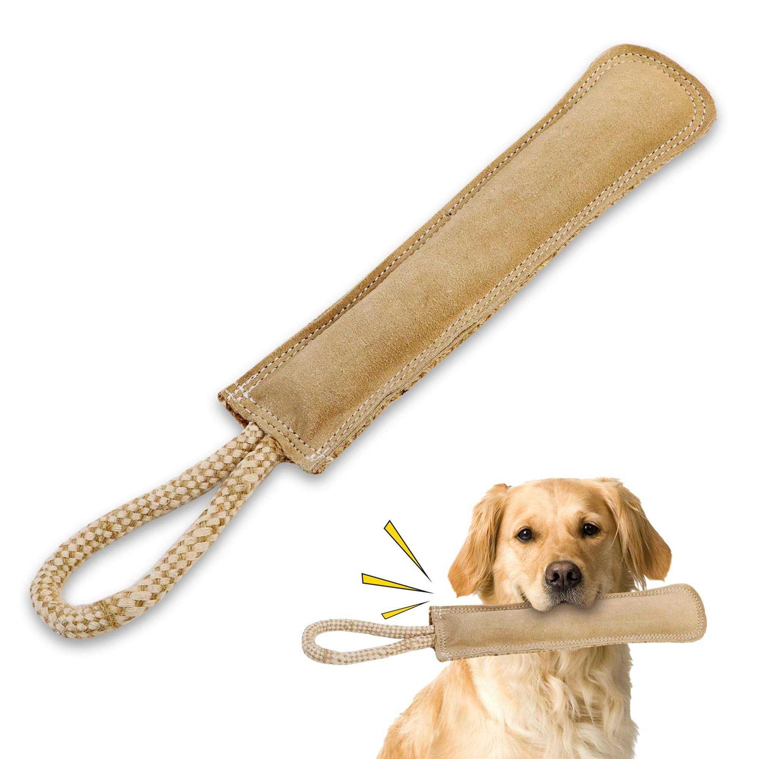 Spot Dura-Fused Leather Retriever Dog Toy - Healthber