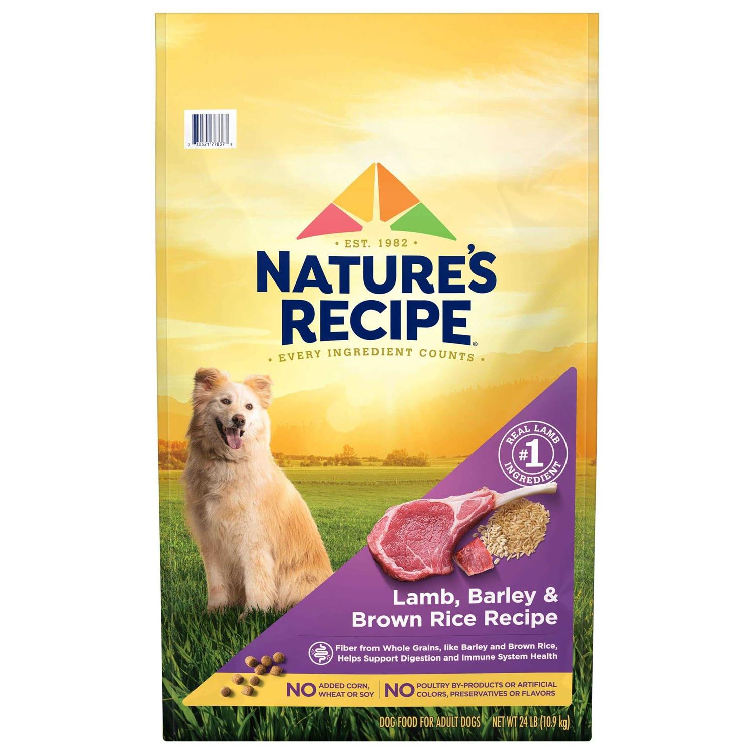 Nature’s Recipe Adult Dry Dog Food - Healthber