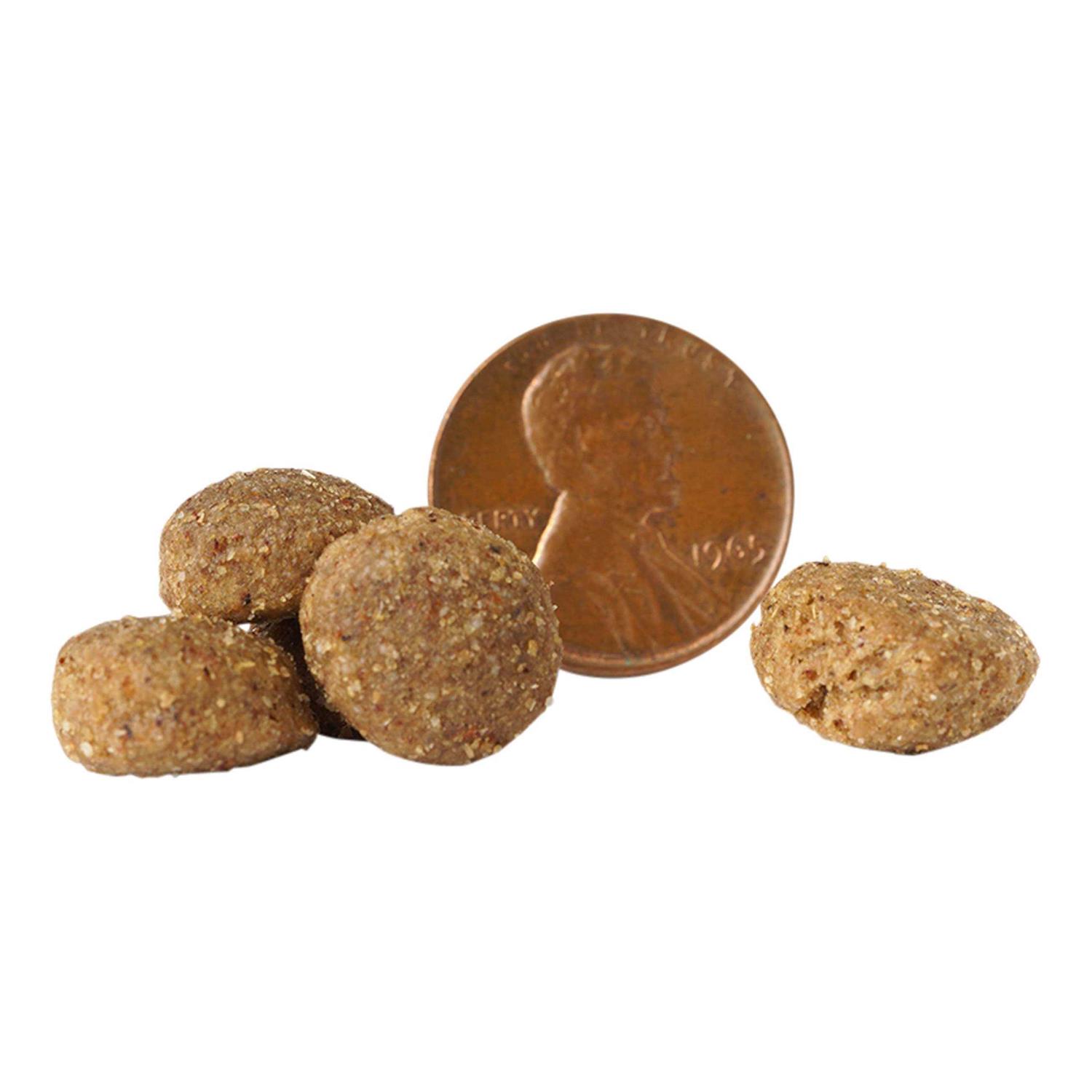 Victor Chicken Meal & Brown Rice Dry Dog Food - Healthber