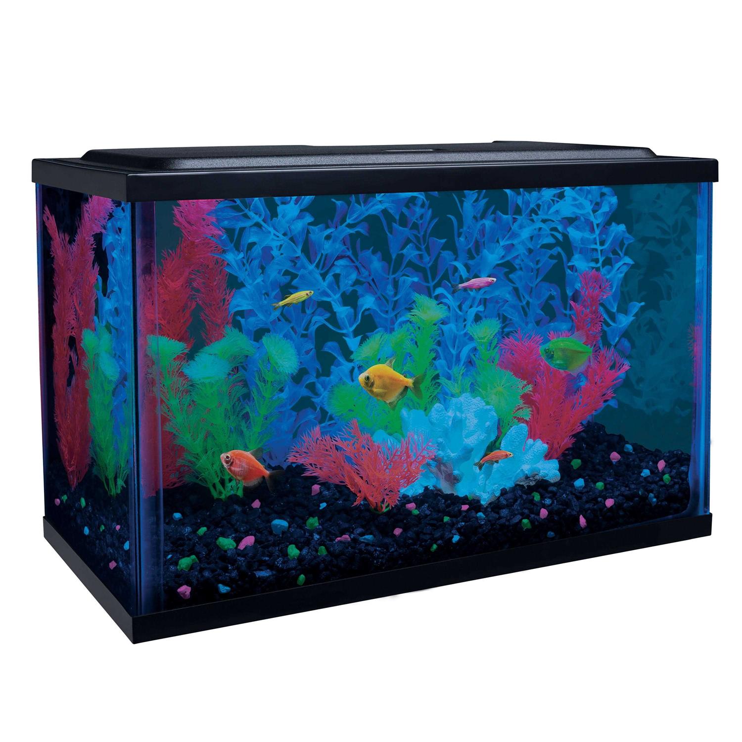 GloFish 5-Gallon Aquarium Kit with LED Tetra Whisper Filter - Healthber