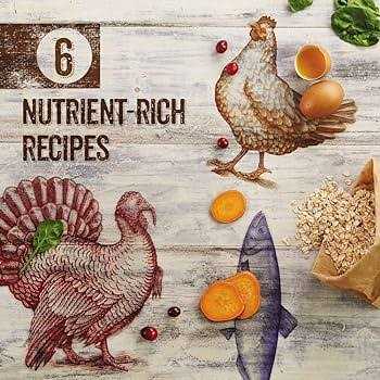 Purina Beyond Grain-Free Wet Cat Food - Healthber