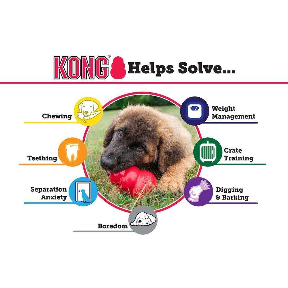 Classic KONG Dog Toy - Healthber