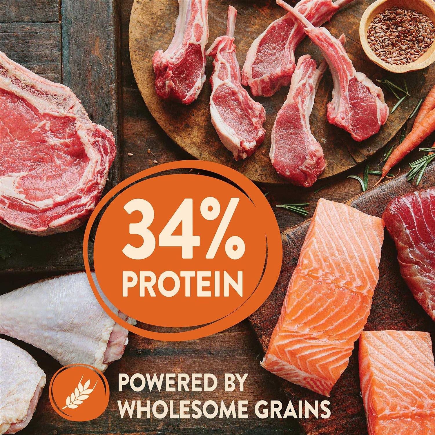 Wellness CORE High Protein Wholesome Grains Original Recipe Dry Dog Food - Healthber