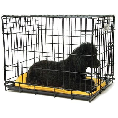 Single Door Fold & Go Wire Dog Crate - Healthber