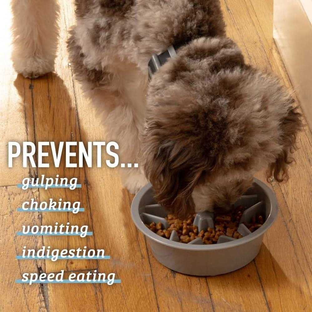 Leashboss Slow Feeder Dog Bowls Cup Maze Puzzle Food Bowl with Feeder Holes - Healthber