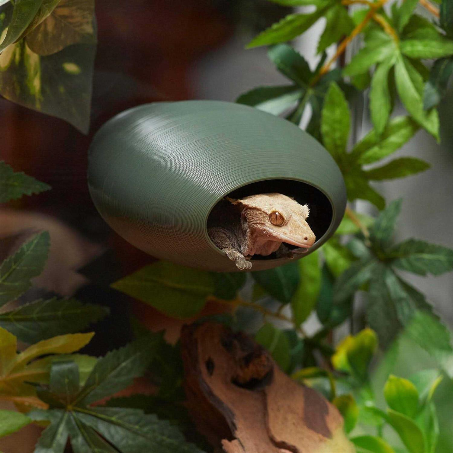 Stroodies BubbleLoft Gecko Hideout - Healthber