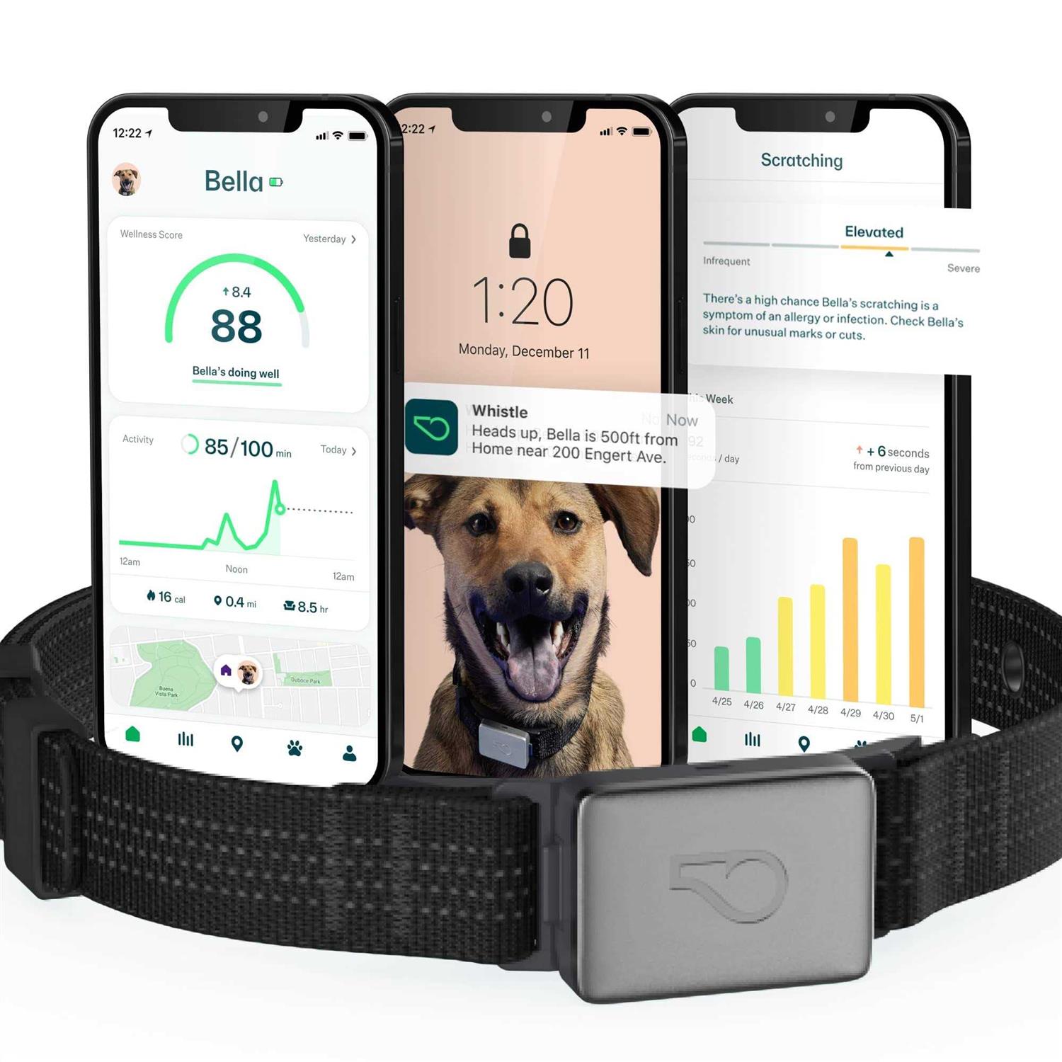 Whistle Switch Smart Collar Kit GPS location Health & Fitness - Healthber