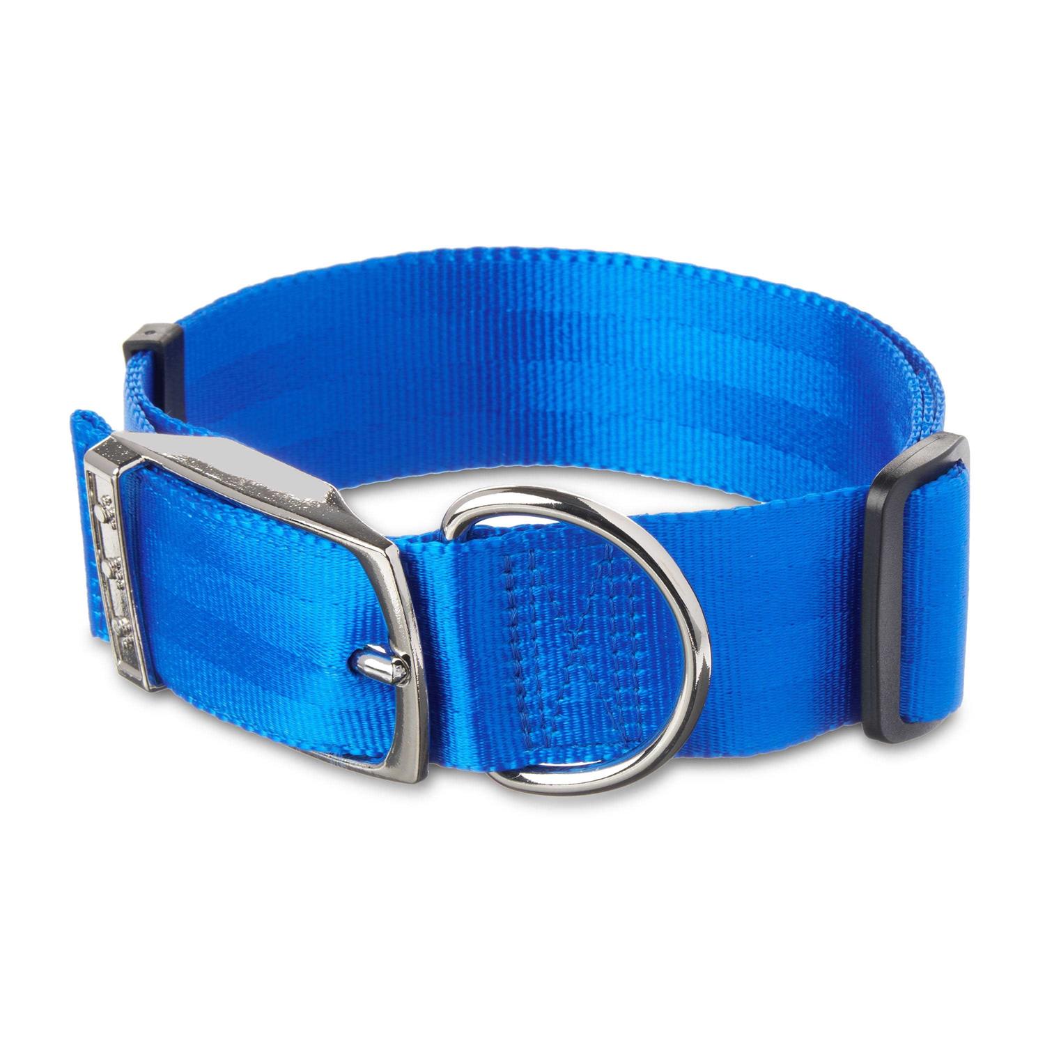 Vibrant Life Solid Dog Collar with Metal Buckle - Healthber