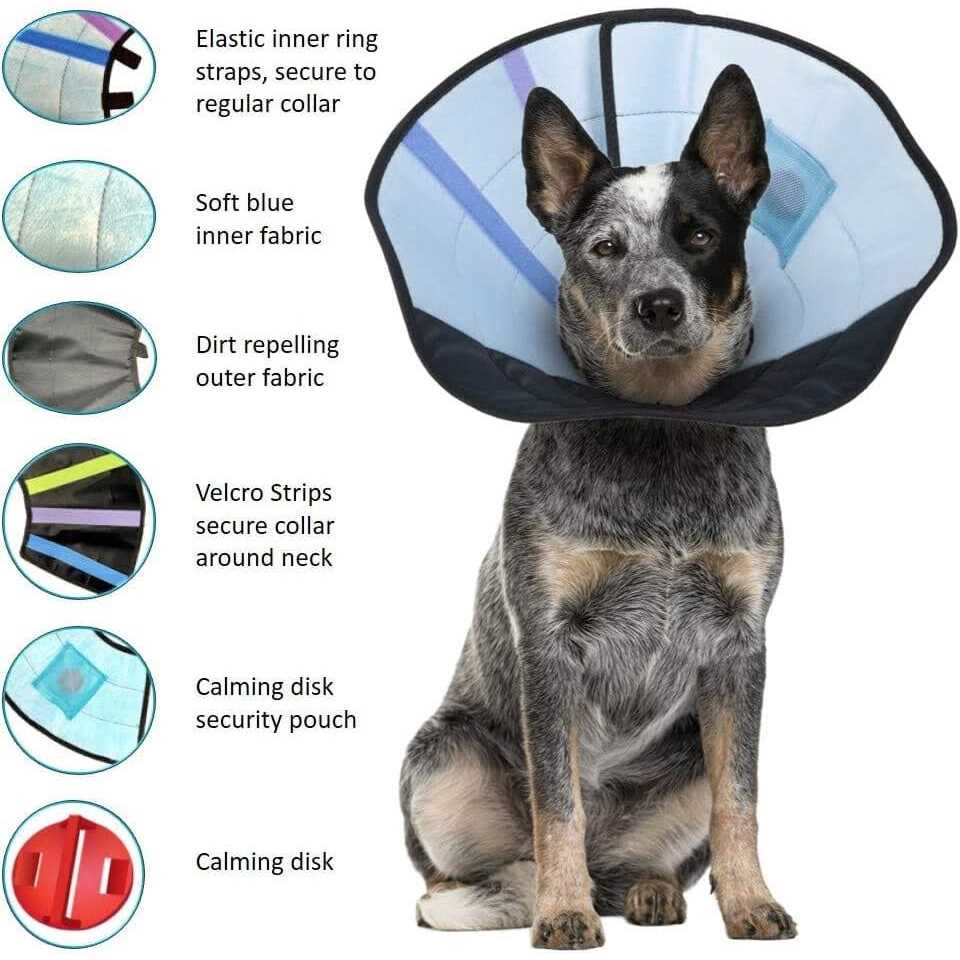 Calm Paws Dog Calming Caring Collar - Healthber
