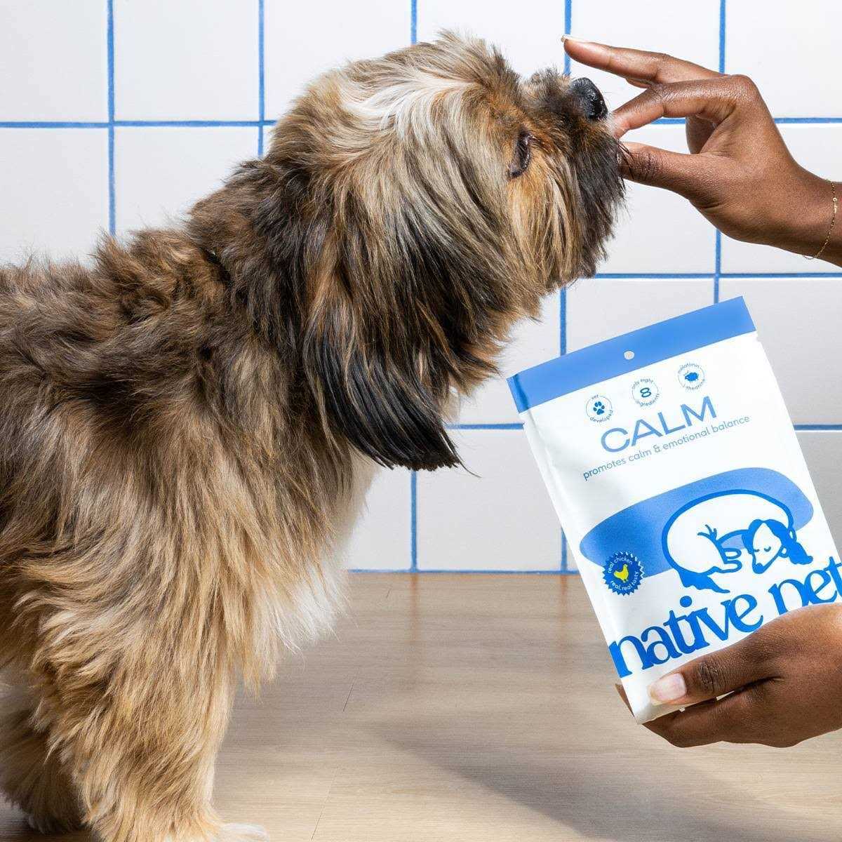 Native Pet Calming Air-Dried Chews with Chicken for Dogs - Healthber