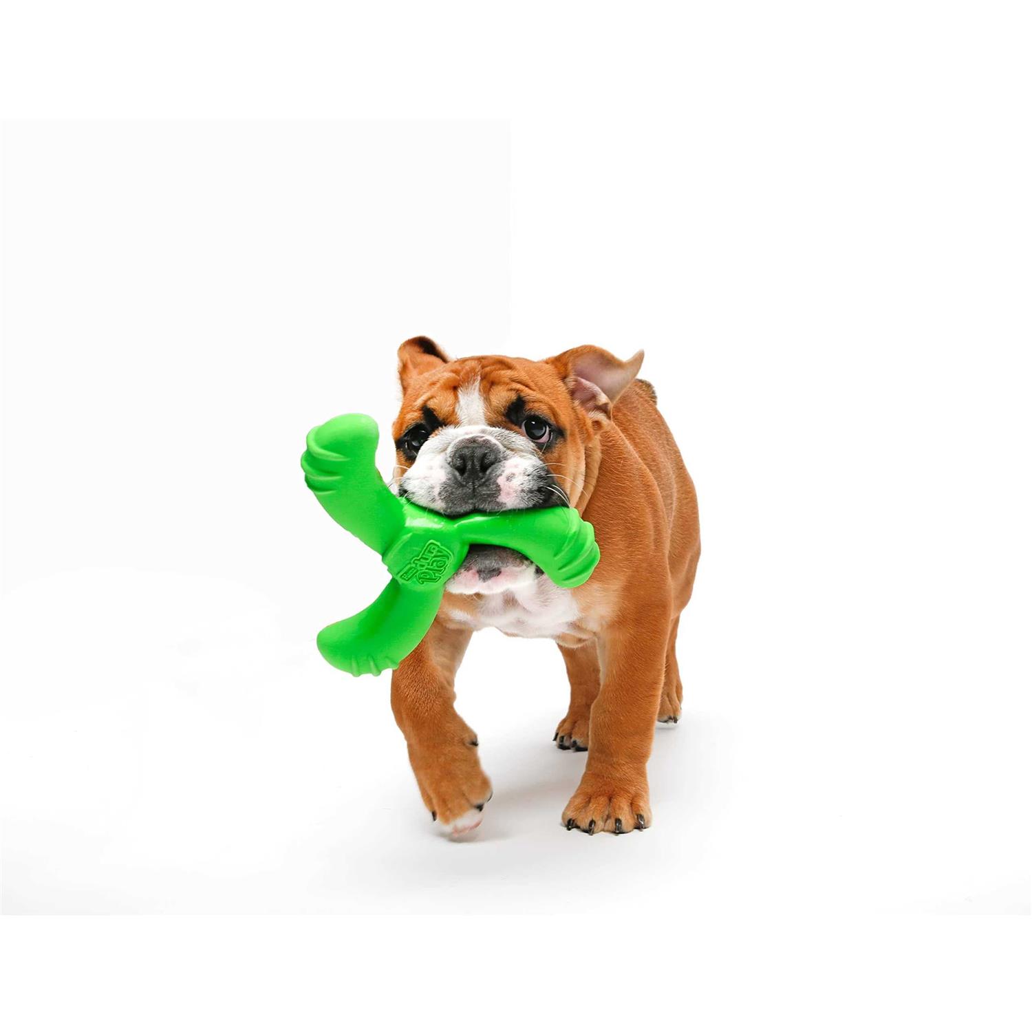 Hartz Dura Play Boomerang Dog Toy - Healthber