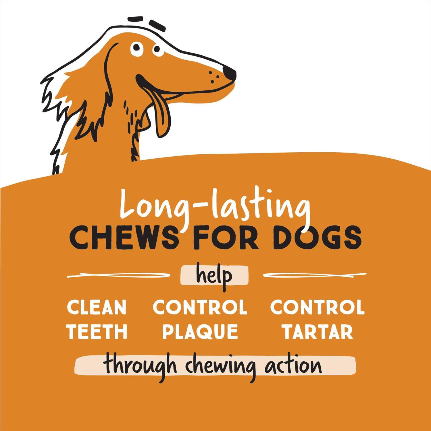 Ultra Chewy Naturals Dog Treats Bone Made in USA Highly Digestible Irresistible Flavors Special Box with Individual Packages - Healthber