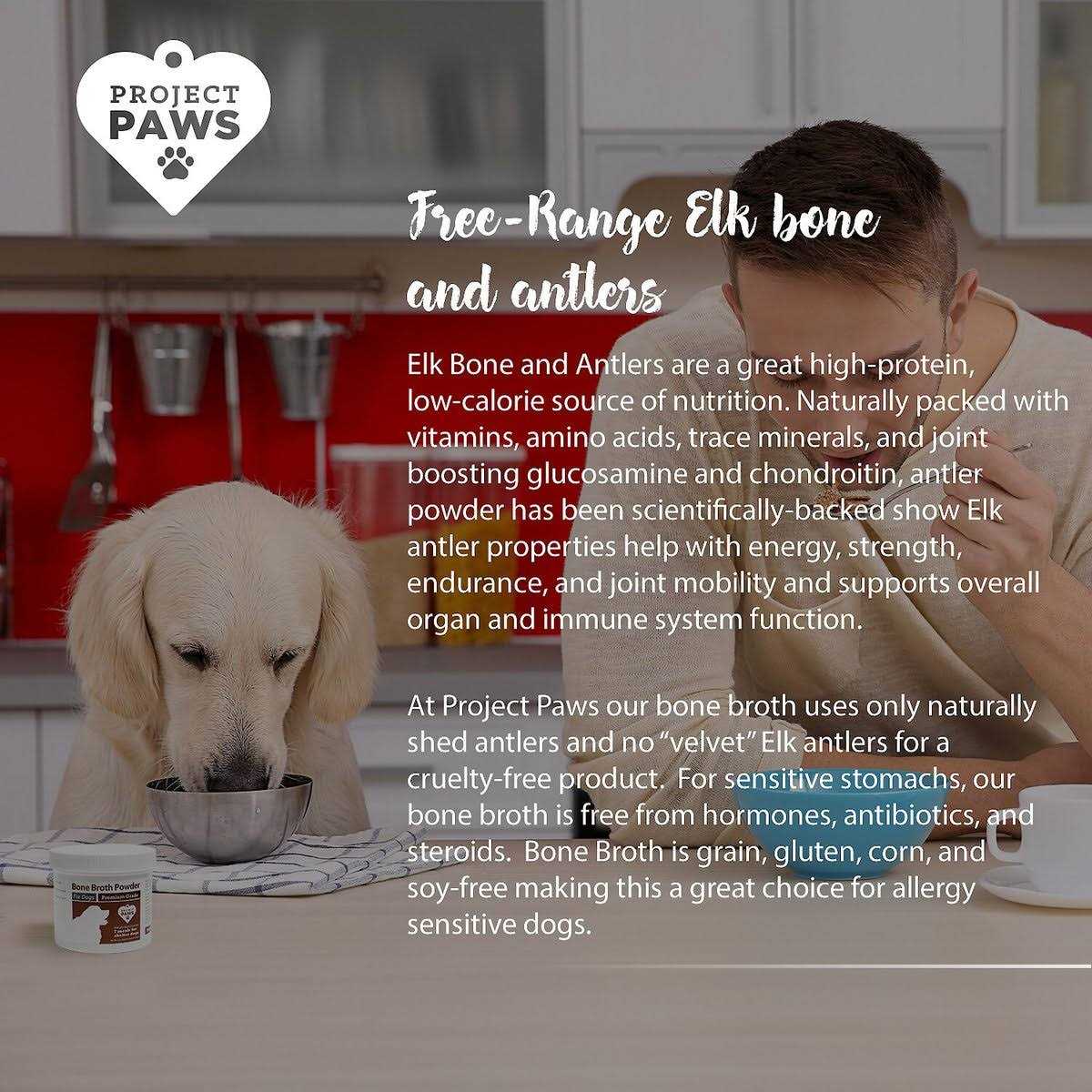 Project Paws Bone Broth for Dogs with Powdered Elk Antler and Bone Collagen and Mineral Rich Food Topper for Dogs - Healthber