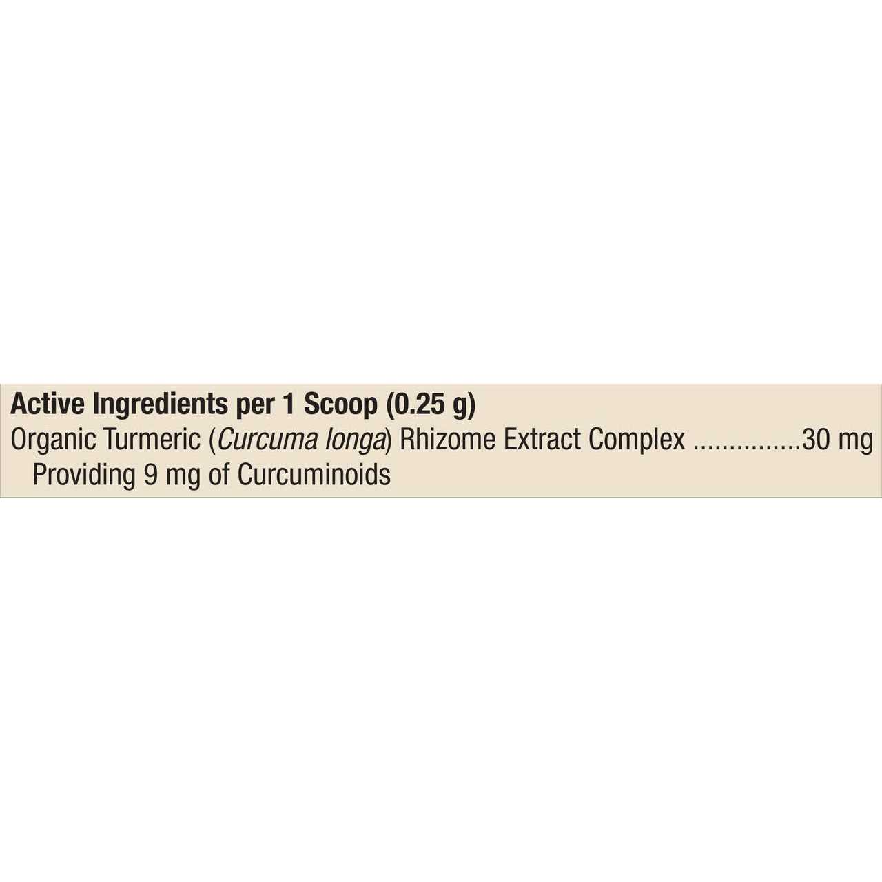 Dr. Mercola Organic Curcumin Extract for Cats & Dogs - Healthber