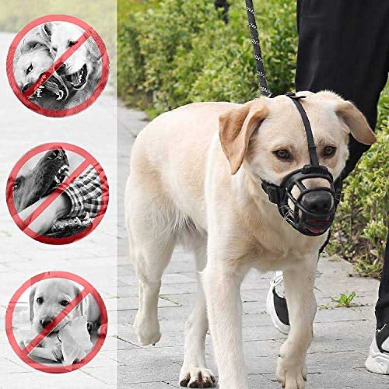 QDAOYU 3pcs Dog Muzzle Mouth Cover Silicone Dog Anti Barking Chewing,cute Duck Shape,Anti bite Adjustable Loop Pets Muzzle - Healthber