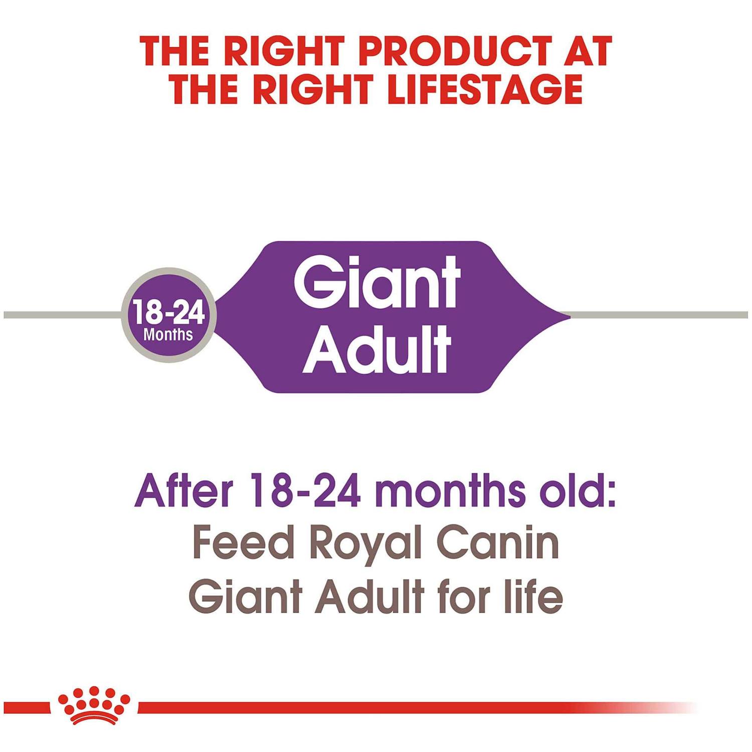 Royal Canin Dog Food Giant Adult - Healthber