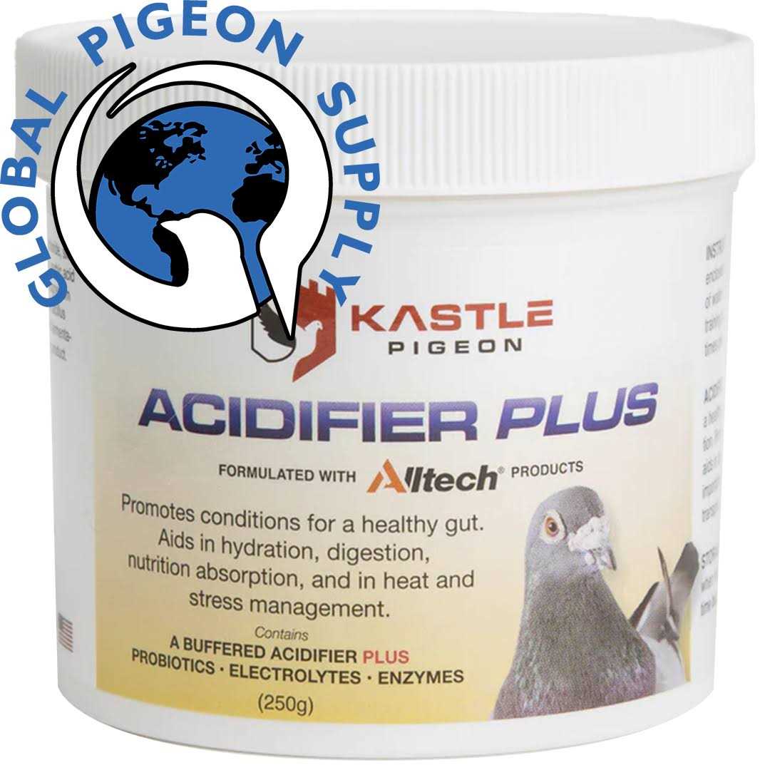 Kastle Acidifier Plus - Healthber