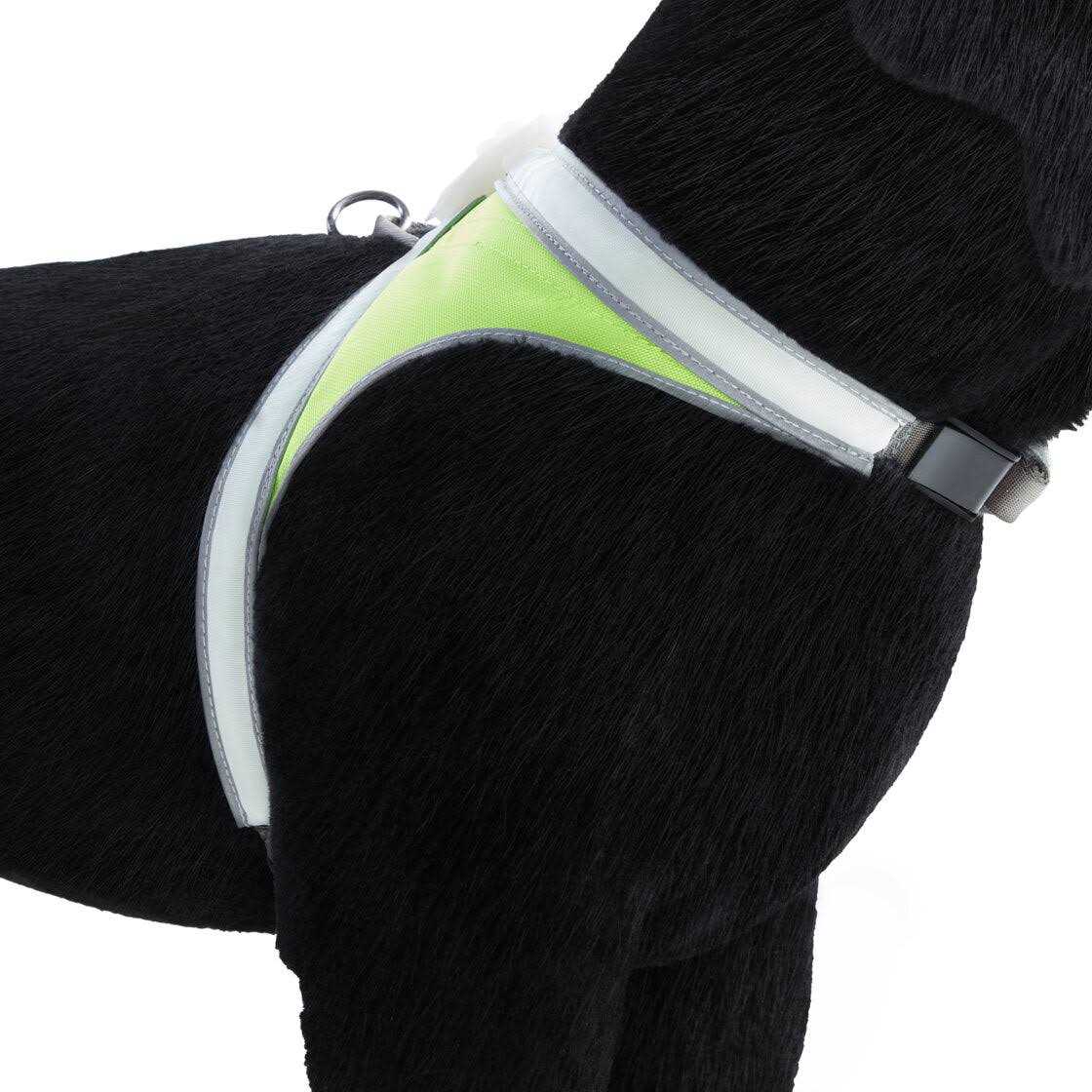 Noxgear LightHound LED Illuminated & Reflective Dog Harness - Healthber