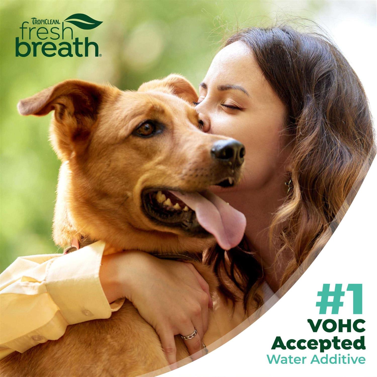 TropiClean Fresh Breath Original Dog Oral Care Water Additive Dog Breath Freshener Additive for Dental Health - Healthber
